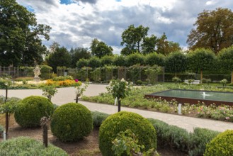 Flowers, shrubs in the Rosarium, Doblhoffpark in Baden, Lower Austria, Austria