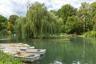 Pond in Doblhoffpark with boats and weeping willow (Salix babylonica), Baden, Lower Austria,