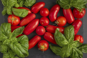 Red tomatoes and green basil on a dark slate plate