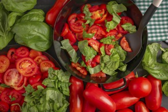 A pan filled with sliced tomatoes and basil leaves, surrounded by fresh vegetables