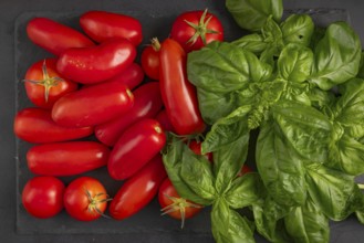 Various tomatoes and fresh basil on a slate plate