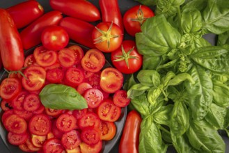 Sliced and whole tomatoes with fresh basil, colourfully presented