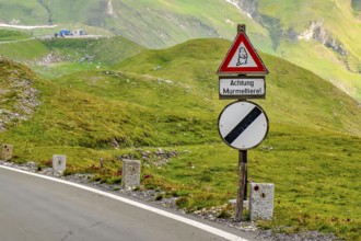 Traffic sign Warning sign Warning for road users Attention marmots, below traffic sign all