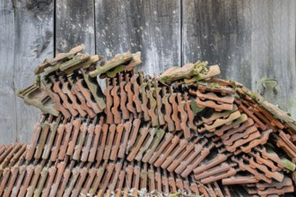 Old roof tiles stored in front of an old wooden barn, North Rhine-Westphalia, Germany