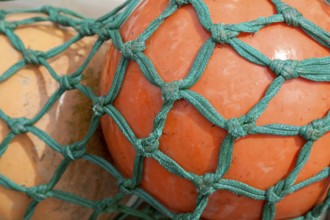 Swimmer in a green fishing net, Greetsiel, East Frisia, Lower Saxony, Germany