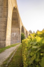 Detailed view of a massive concrete viaduct with a green bush in the foreground, small town of