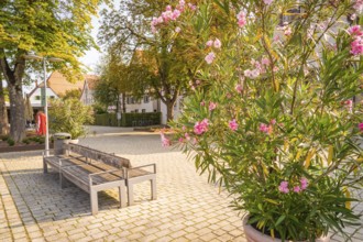 Town square with blooming oleander, park benches, surrounded by trees, small town pearl Nagold,