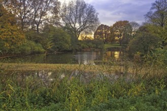 A moat in an autumnal evening mood with colourful trees and a peaceful atmosphere, Krefeld Castle