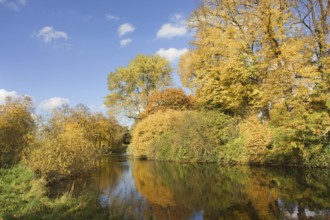 Outer moat with autumnal trees and blue sky, peaceful atmosphere Burgpark Linn, Krefeld