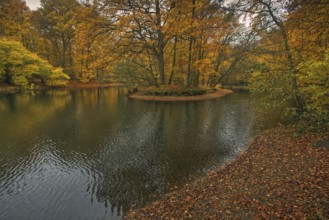 A pond with a wooded island in autumn colours and a calm water surface, Krefeld city forest