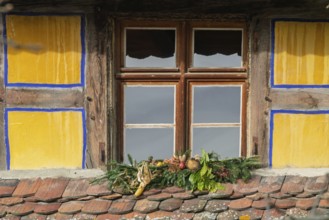 Window in a half-timbered house with Christmas decorations, Alsace, France