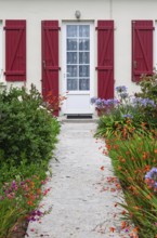 House façade with mullioned windows, entrance door and red shutters and flower beds, Ile de Brehat,