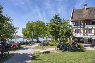Ein Biergarten am Bodenseeufer mit dem historischen Fachwerkbau vom Rebgut Haltnau bei Meersburg,