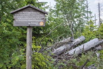 Signpost for bark beetle infestation, felling of trees and deadwood regeneration, wooden sign with