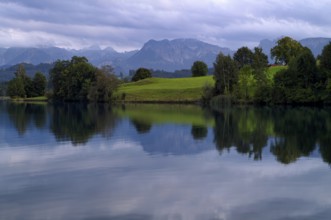 Swimming lake, Schwaltenweiher near Seeg, Allgäu Alps, Ostallgäu, Allgäu, Swabia, Bavaria, Germany