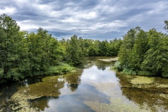 Brenndorf bird sanctuary, Drau riverbank, river, Carinthia, Austria