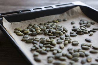 Pumpkin seeds spread out on baking tray ready for roasting. Healthy snack preparation with natural