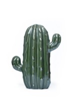 Green ceramic cactus decorative object on white background