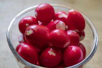 Fresh radishes in a glass bowl, Bavaria, Germany