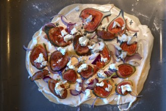 Tarte flambée with figs, goat's cheese and onions in the oven, Baden-Württemberg, Germany