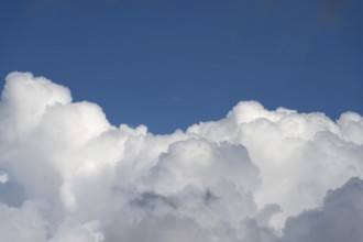 Cluster clouds (cumulus), Bavaria, Germany