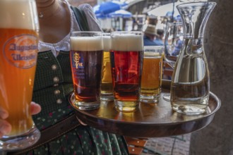 Drinks on a tray are served by a waitress in the beer garden, Munich, Bavaria, Germany