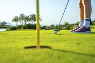 Golfer putting ball on green towards hole on sunny day, low angle view focusing on the action and
