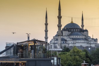 Seagulls flying over a rooftop restaurant in istanbul, turkey, with the sultan ahmed mosque in the