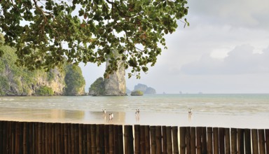 Tropical beach view with tourists enjoying railay beach in krabi, thailand, framed by a bamboo