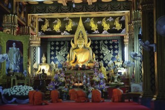 Group of buddhist monks praying in traditional orange robes inside ornate temple with golden buddha