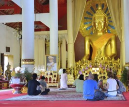 Tourists kneeling and praying in front of a giant golden buddha statue inside a buddhist temple in