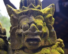 Close up of a weathered traditional balinese stone statue covered in moss, showcasing the rich