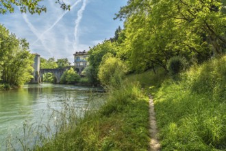 Lush vegetation frames a tranquil pathway meandering along the gave d'oloron river, leading towards