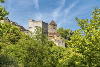The historic church of sauveterre de bearn rises majestically above a canopy of vibrant green