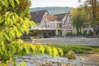 Idyllic view of half-timbered houses by a river, surrounded by green trees on a summer's day,