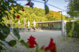 Café with open terrace, framed by lush greenery and red flowers in the foreground, Nagold, district