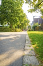Quiet street lined with large green trees that cast shade on the pavement, Nagold, district of