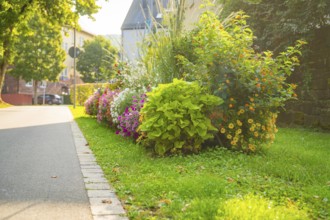 A colourful garden strip on a street with lush greenery and colourful flowers, Nagold, Calw