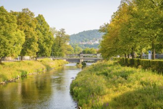 Idyllic river landscape with mountains in the background, framed by green trees and summer flora,