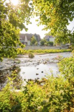 River landscape behind green leaves, with historic houses and lush trees in the background, Nagold,