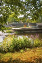 Natural river environment with dense vegetation and a bridge under the summer sun, Nagold, district