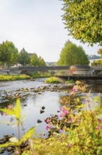 Summer river landscape with bridge, surrounded by green vegetation and colourful flowers, Nagold,