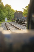 View of an old railway carriage on rails, surrounded by trees at dusk, Nagold, district of Calw,