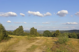 Hiking trails in the Truppacher Heide, Trupbacher Heide nature reserve with heaths and rough