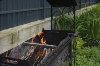 In a backyard. Lush green plants surround the grill, showcasing a peaceful outdoor setting perfect