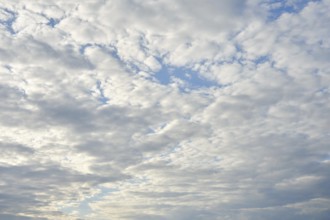 White clouds fill the sky, casting gentle shadows below. The bright blue stretches endlessly,