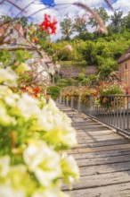 A boardwalk lined with vibrant flowers leads to a historic building, small town pearl Calw, Black