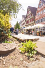 View of half-timbered houses and flowering plants along the path in bright sunshine, small town of