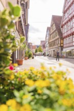 Flowers in the foreground and half-timbered houses along a sunny and inviting shopping street,