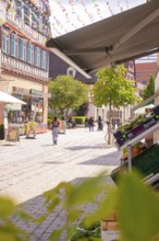 Lively old town street with local shops, sunshine and strolling people, small town pearl Calw,